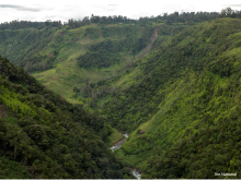 PNG, CEPA