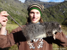 PNG, Giant Rodent