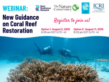 Coral Reef Restoration