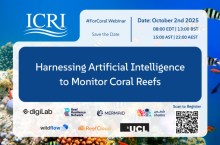 Coral Reefs