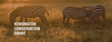 Conservation