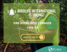 Birdlife