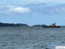 Hauraki Gulf