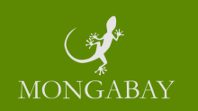 Mongabay
