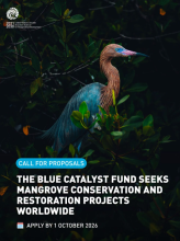 Blue Carbon