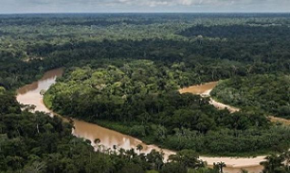 The Amazon rainforest is often called "the lungs of the world." It produces oxygen and stores billions of tons of carbon every year. The Amazon rainforest covers more than 60% of the landmass of Peru. Credit: USDA Forest Service photo by Diego Perez