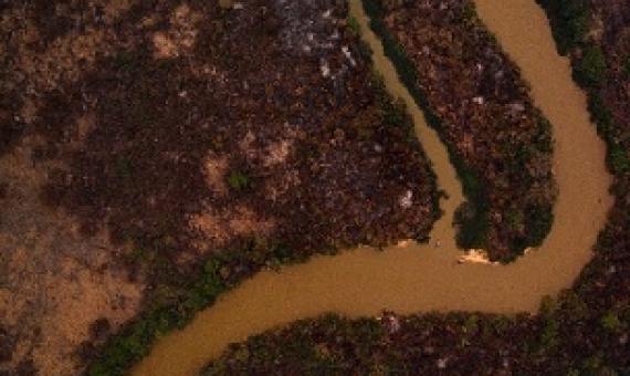 An aerial view showing some of the fire damage in Brazil's Pantanal. Source - Phys.org