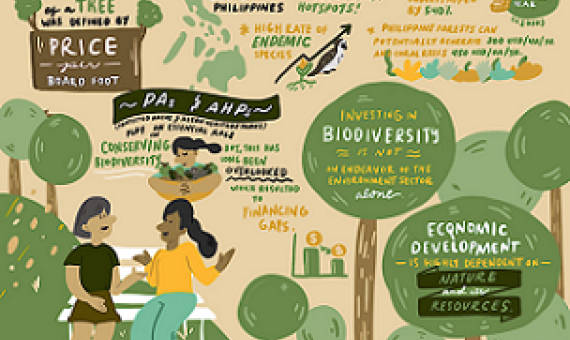 Graphic of sustainable financing approach for ASEAN Heritage Parks. Credit - ASEAN Centre for Biodiversity