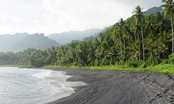 Coconut plantations lining the black sandy shores of Baniata village. Credit - Chris Vogliano
