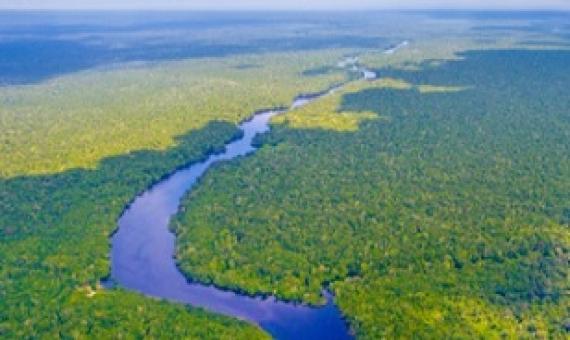 The Amazon river in Brazil. Photo credit: worldclassphoto/Shutterstock.com. 