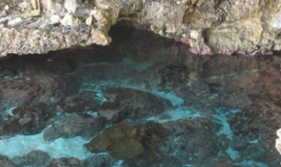 Avaiki coastal cave, Niue. Credit - Vainuupo Jungblut