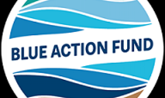 blue action fund logo