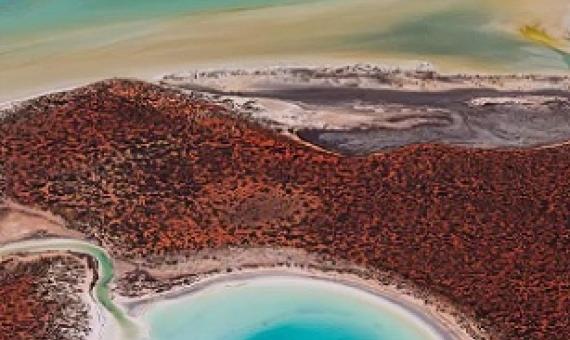 World's largest carbon stores found in Australian World Heritage Sites. Credit - https://ca.news.yahoo.com/
