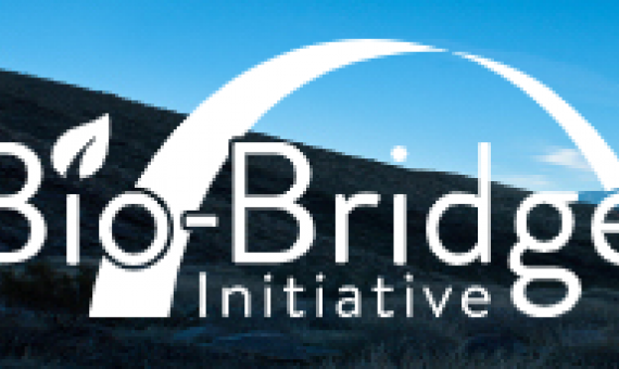 CBD Bio-Bridge Initiative. credit - CBD Secretariat