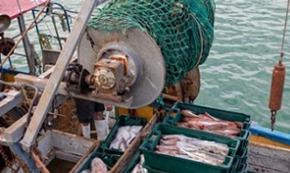 Commercial fisheries. Photo: 123RF