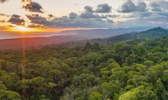 The Osa Peninsula in Costa Rica is an area of much conservation effort. Image courtesy of Osa Conservation.