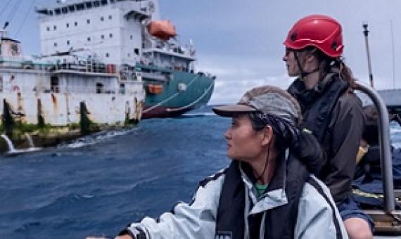 Fishery observers monitoring the transfer of catch in 2019. Covid restrictions have since prevented many observers from doing their jobs (Image © Tommy Trenchard / Greenpeace)