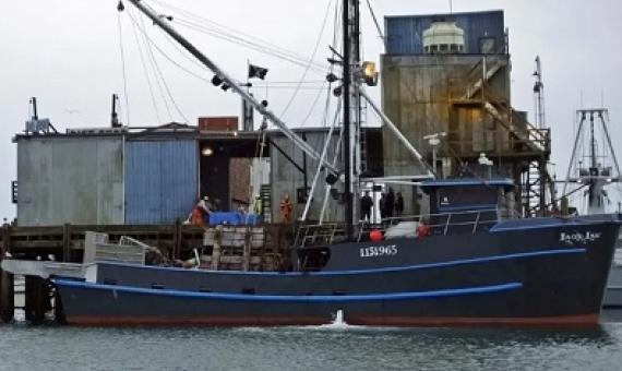 By collaborating with fishers, governments with limited resources for enforcement can more easily identify vessels that illegally harvest shark fin. source -https://www.sharkophile.com/ 