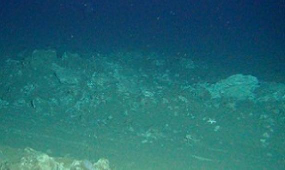 Plow tracks are still clearly visible on the seafloor of the DISCOL area 26 years after the disturbance. Credit: ROV-Team/GEOMAR