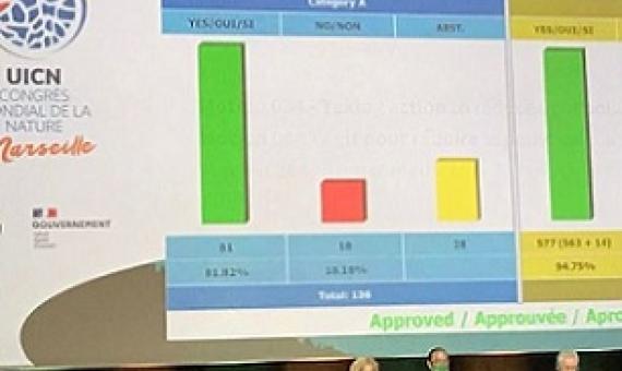The results of the vote on motion 69 at the IUCN World Conservation Congress. Image courtesy of Deep Sea Conservation Coalition.