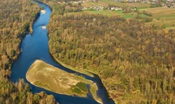 Several dams are planned in protected areas along Europe's Mura river © Matevž Lenarčič