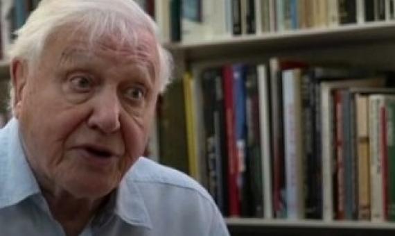 David Attenborough says the moment of crisis has come. (ABC News)