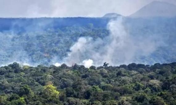 Smoke from a fire in the Amazon rainforest in Oiapoque, Amapa state. Photograph: Nelson Almeida/AFP/Getty Images