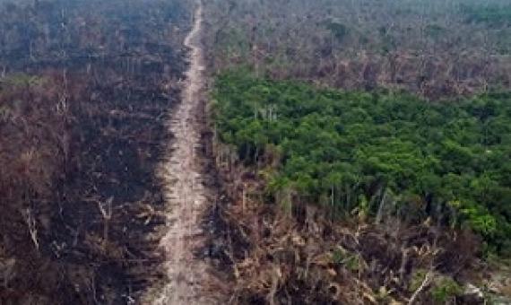 Deforested areas rim a highway running through the state of Amazonas in Brazil. Credit: Michael Dantas/AFP/Getty