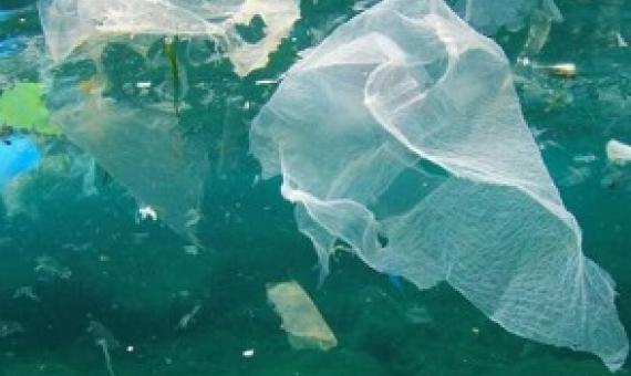 New research from NUI Galway and the University of Limerick has for the first time quantified the volume of plastic from European countries (EU, UK, Switzerland and Norway) that contributes to ocean littering from exported recycling. Credit: Shutterstock/NUI Galway