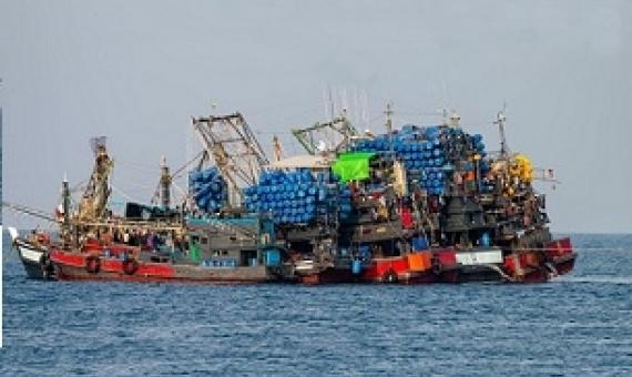 Industrial fishing trawlers stocking up on unsustainable quantities of fish. Credit: Shutterstock