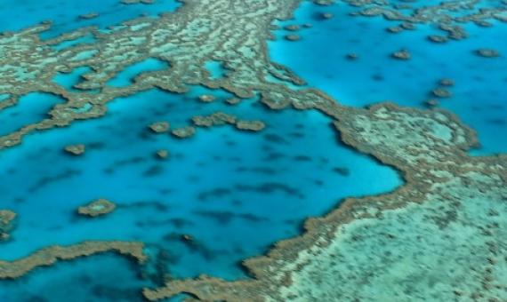 Great Barrier Reef, Australia. source - https://www.zmescience.com/