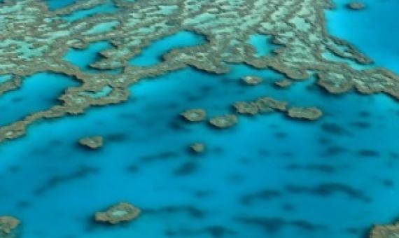 Great Barrier Reef, Australia. source - https://www.zmescience.com