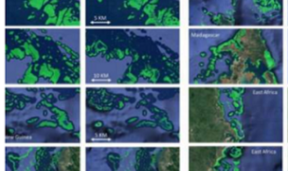 Visual comparisons of a map by the United Nations Environment Program World Conservation Monitoring Centre (UNEP-WCMC), the leading global coral reef map, and the GDCS coral reef extent map in different regions, including (a) Great Barrier Reef (GBR), Australia, Papua New Guinea, Indonesia; (b) Madagascar, East Africa; (c) Red Sea, Samoa, Virgin Islands. Credit: Center for Global Discovery and Conservation Science at Arizona State University