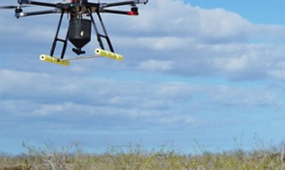 Conservation group flies its Galápagos drone eradication of invasive rat mission over Polynesian atolls. Source - https://dronedj.com/ 