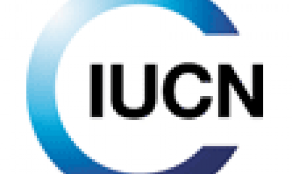 IUCN logo. credit - IUCN