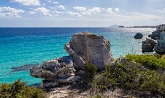 Arcipelago Toscano national park is one of two new Italian green-list sites. Its seven Mediterranean islands are rich with endemic flowers. Photograph: Archivio Parco Nazionale Arcipelago Toscano/IUCN