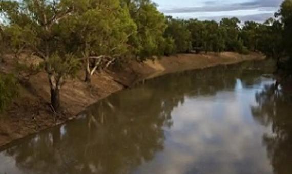 Griffith University researchers say the amount of water held by Indigenous organisations has fallen by 17% over 10 years. The Darling Barka river at Louth after the arrival of a flow of water from upstream. Photograph: Jenny Evans/Getty Images