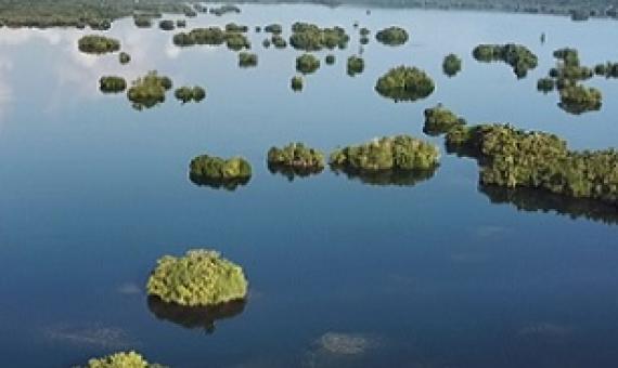 Lake Tegano, Rennell, Solomon Islands. credit - https://www.solomonstarnews.com/