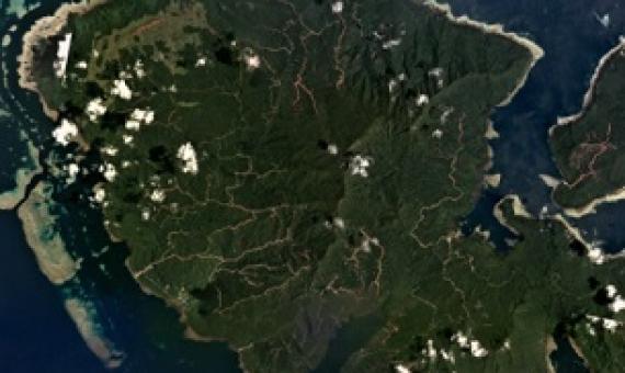 Tree cover loss data from the University of Maryland indicate most of the logging roads on Vanikoro were cleared in 2017. Since then, satellite imagery shows logging efforts expanded in the southern part of the island near Peau in 2019 and at several sites in Vanikoro’s northern half in 2020. Credit - Mongabay.com