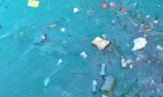 Areas with floating rubbish on the ocean’s surface have plastic on the seafloor. Credit - Shutterstock