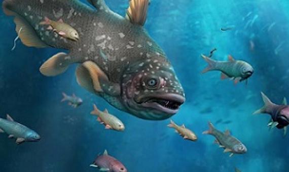 The Guiyang biota from China reveals a complex marine ecosystem that lived 250 million years ago (artist’s impression).Credit: Dinghua Yang, Haijun Song