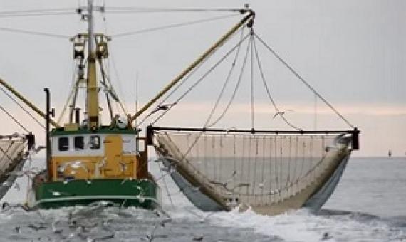 Through disturbing the sediment on the sea floor - the world's largest carbon sink - bottom trawling is thought to release a similar amount of carbon dioxide into the atmosphere as the aviation industryg. Credit - https://thefishsite.com/