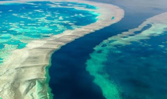 Australia's marine (un)protected areas: government zoning bias has left marine life in peril since 2012. Credit - https://menafn.com/