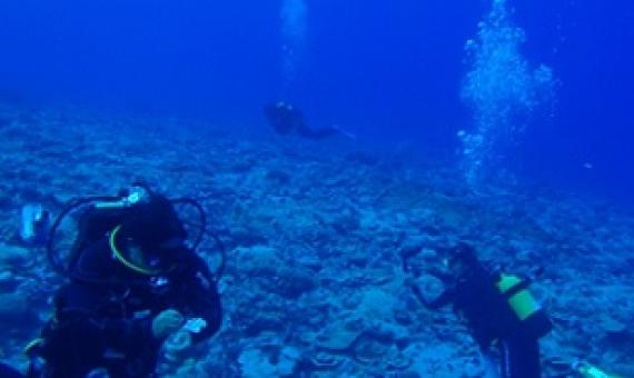A Marae Moana research team pictured during their survey of a Mitiaro coral reef in 2013. Credit - www.cookislandsnews.com 