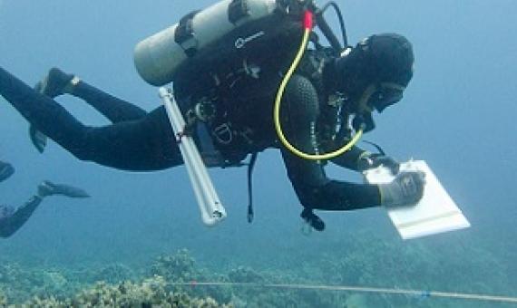 A TNC diver surveys characteristics of Maui reefs. Credit - Ryan Carr/TNC