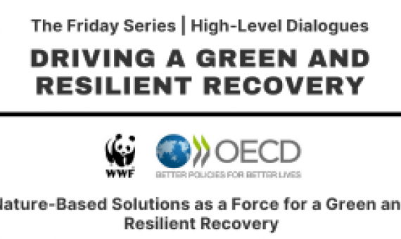 Webinar - Nature-Based Solutions as a Force for a Green and Resilient Recovery
