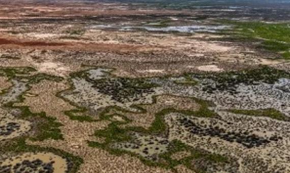 Narriearra station in the far north-west of New South Wales was sold for an undisclosed fee in the largest single land purchase of private land for conservation in the Australian state’s history. Photograph: Joshua J Smith