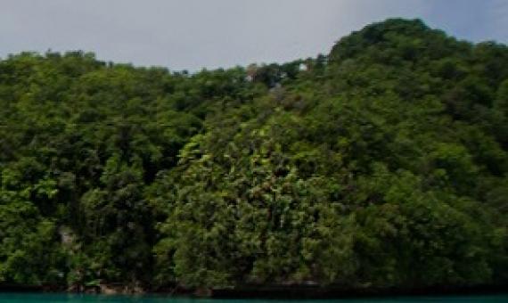 Ngeanges Island, Palau. Source - https://www.islandconservation.org