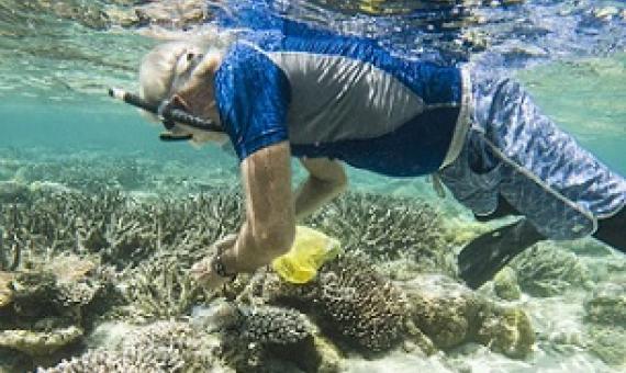 Stanford Professor and PICRC Continue Study of Heat Tolerant Corals in Palau. Credit - PICRC
