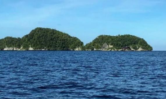 Palau is a small Pacific-island nation that sits 930 miles east of the Philippines CREDIT: MIKHAIL FLORES /AFP